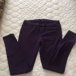 HUE jeggings